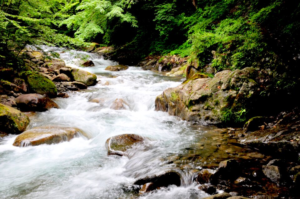 Green natural natural water