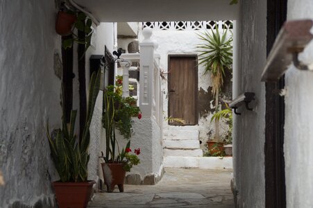 Tenerife construction architectural style photo