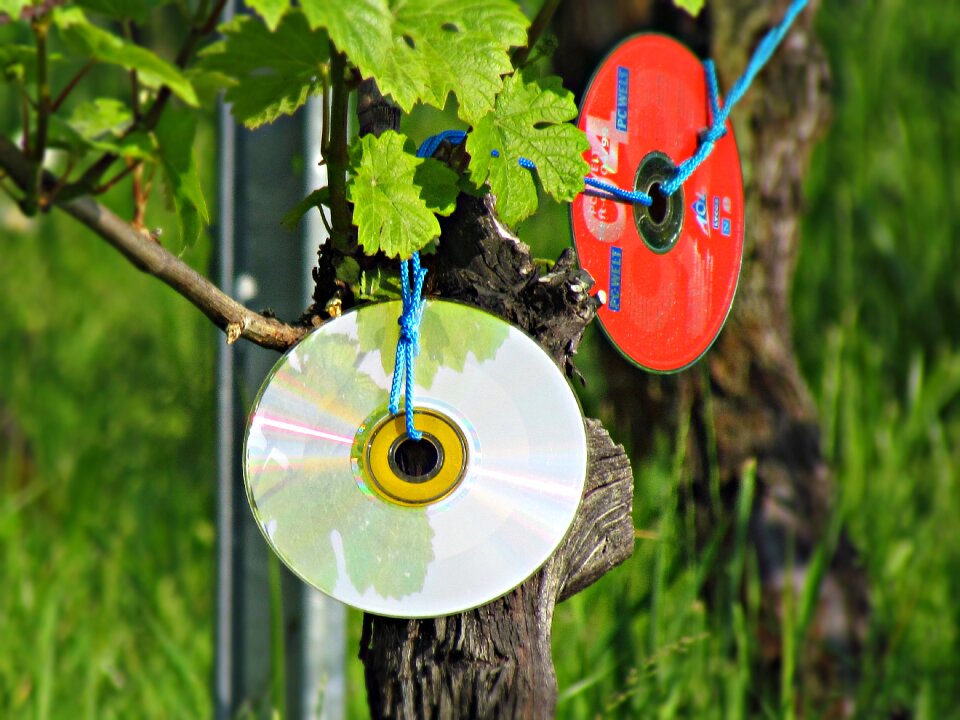 Cd reflection cd rom
