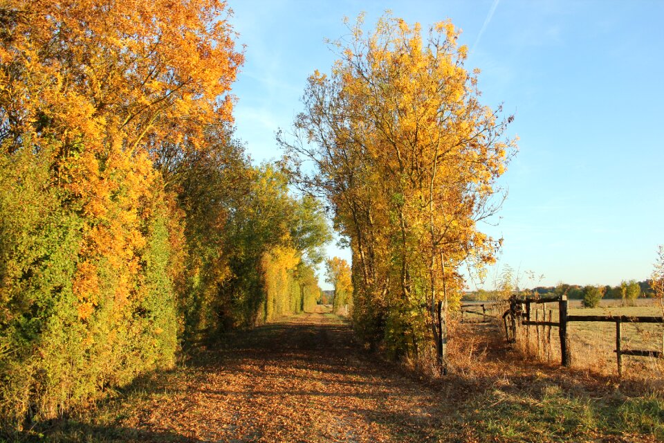 Outdoors landscape rural