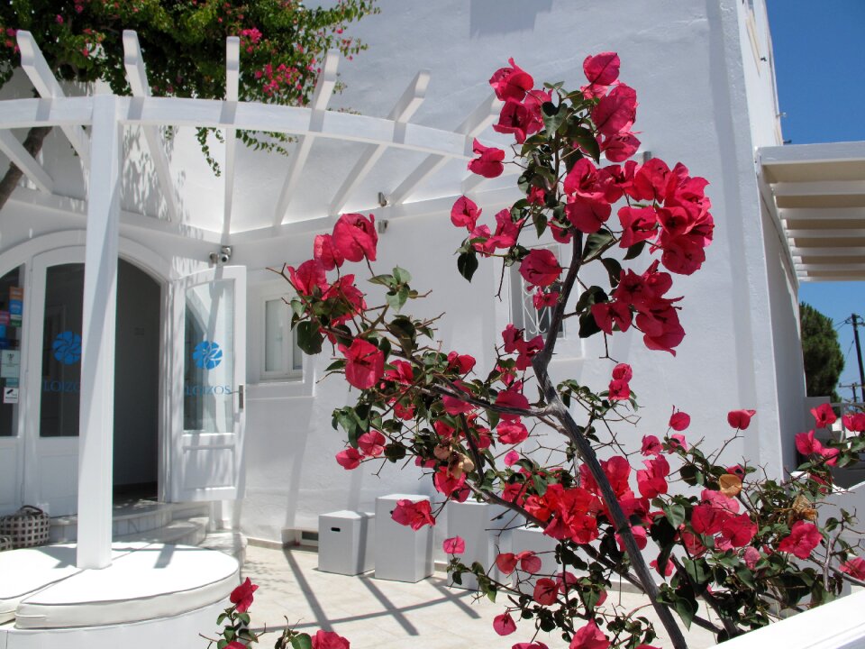 Island greece santorini