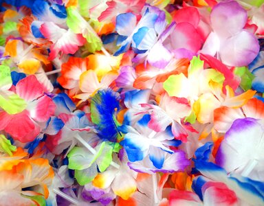 Colorful artificial flowers cheesy