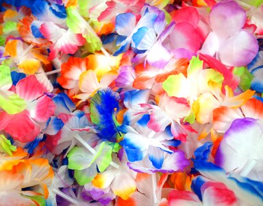 Colorful artificial flowers cheesy photo