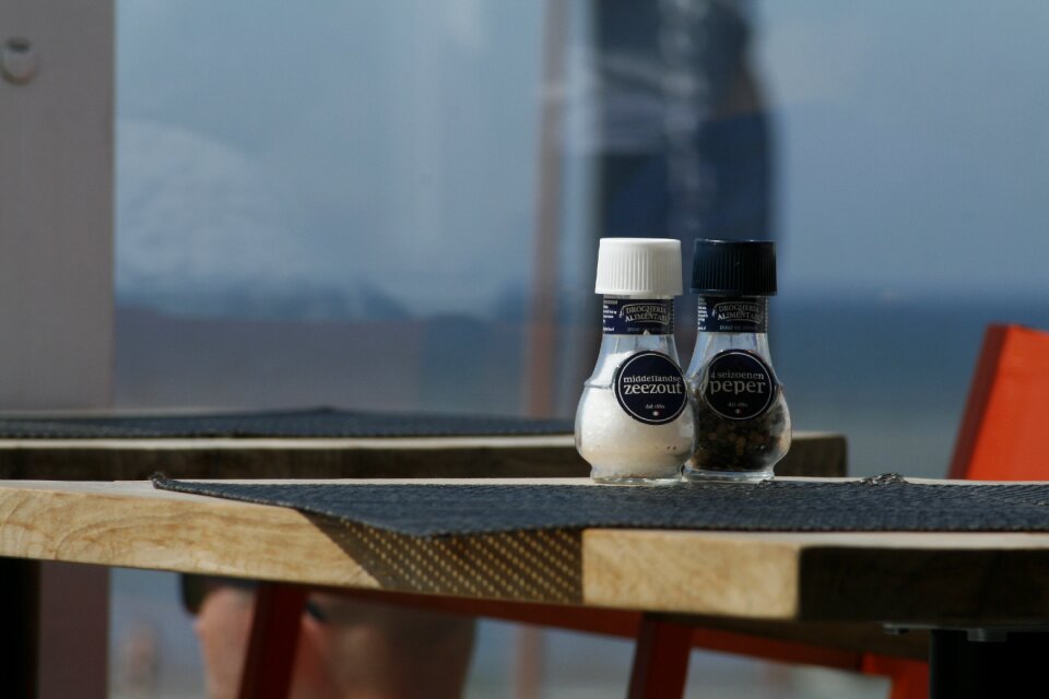 Salt pepper spreader