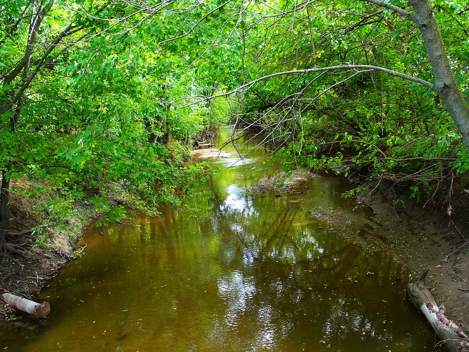 Green summer water