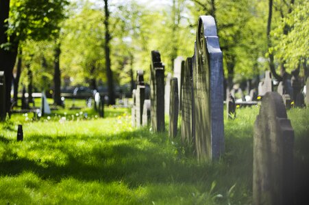 Nova scotia graveyard photo