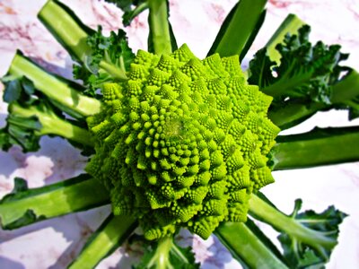 Food flower soup