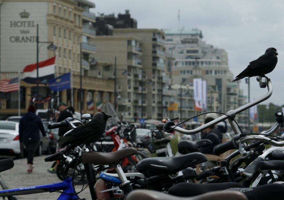 Wheel turned off bicycles