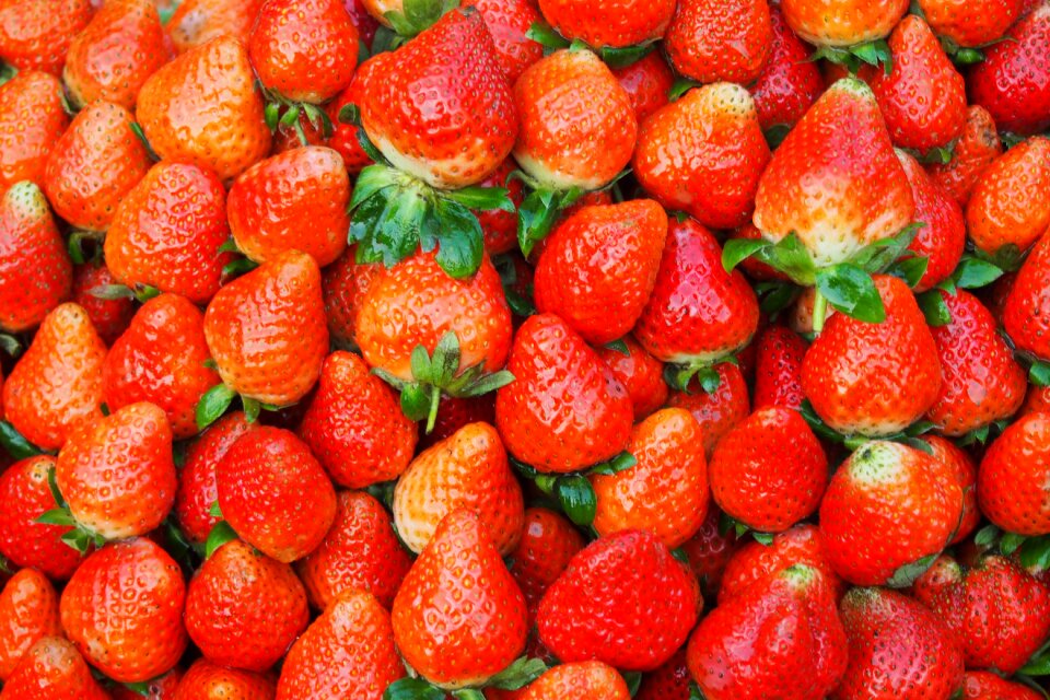Collection fresh fruit viet nam