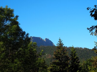 Nature top view tatry photo