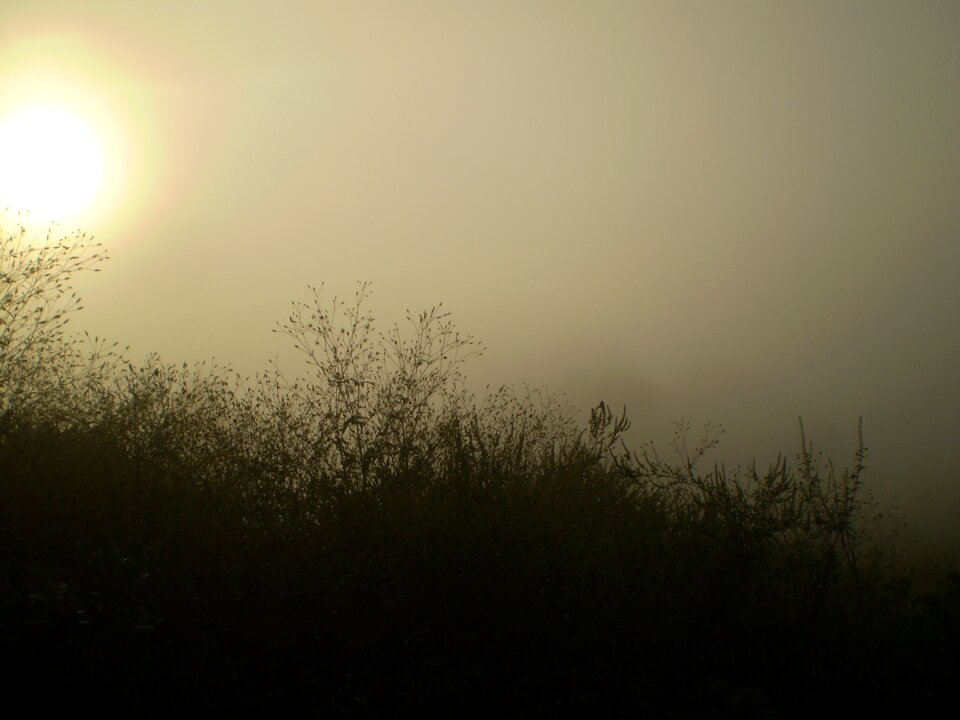 Silhouette mount blur
