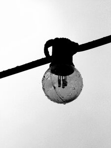 Bulbs black and white art