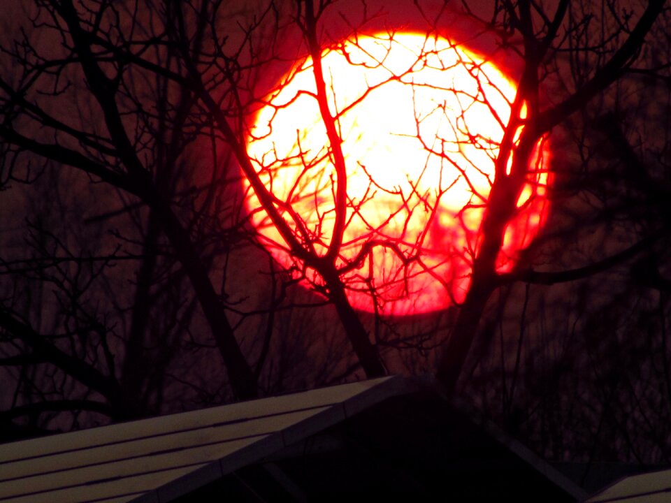 West red purple
