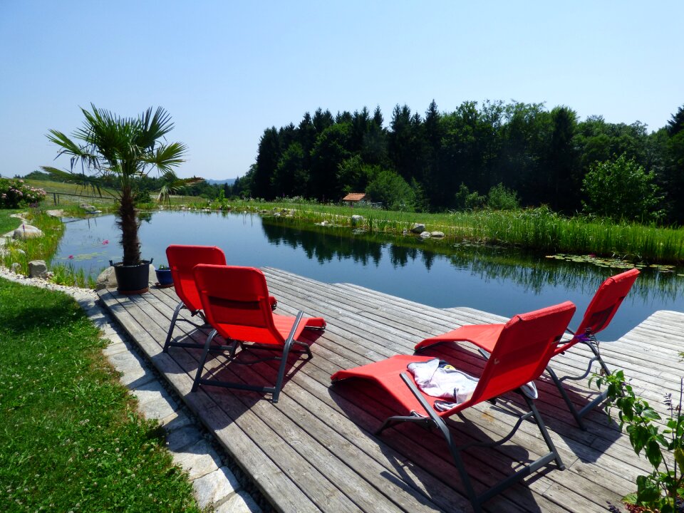 Water garden bioteich