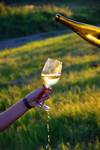 Grape wine glasses crystal photo