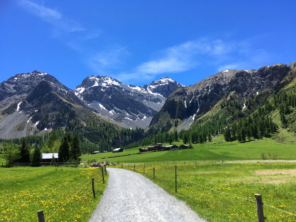 Alps scenery summer