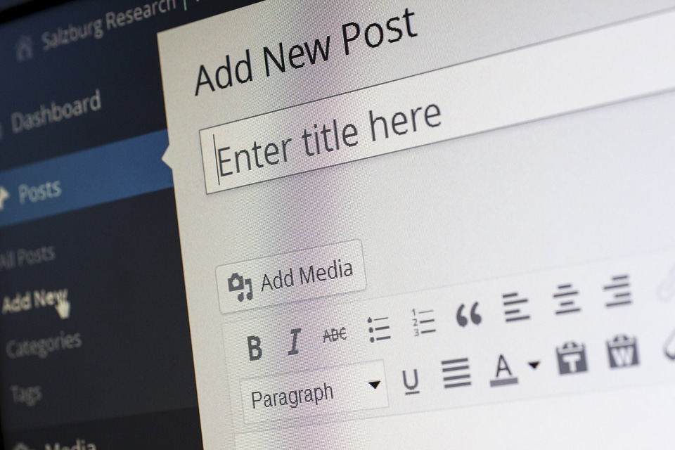 Editor blog post cms