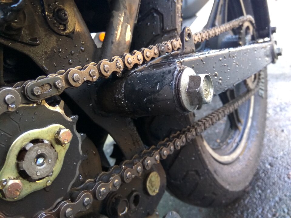 Before and after teeth chain bar gray wolf