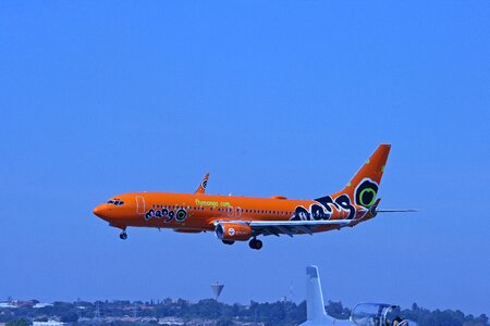 Orange display flying