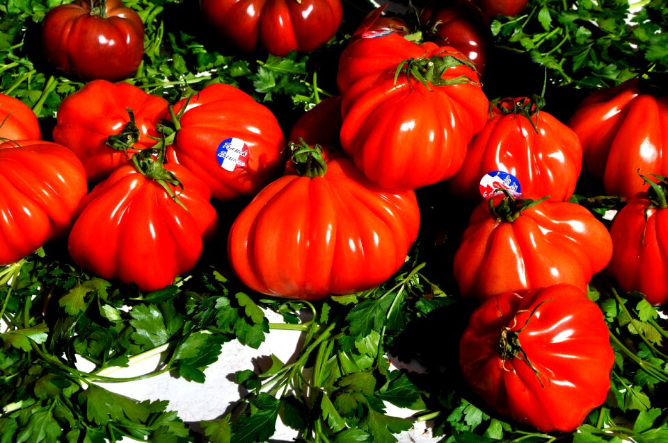 Tomatoes vegetables market