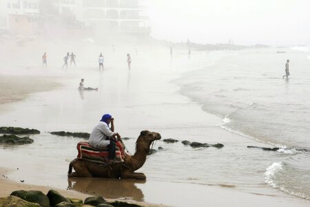 Morocco nature coast