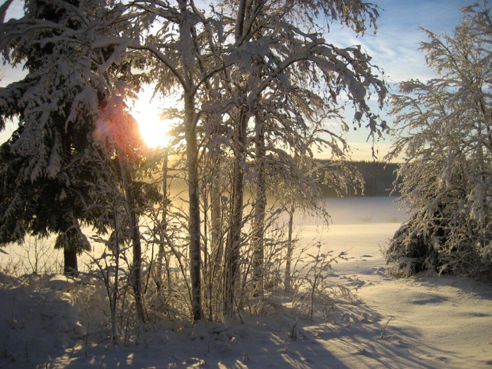 Winter solar nature