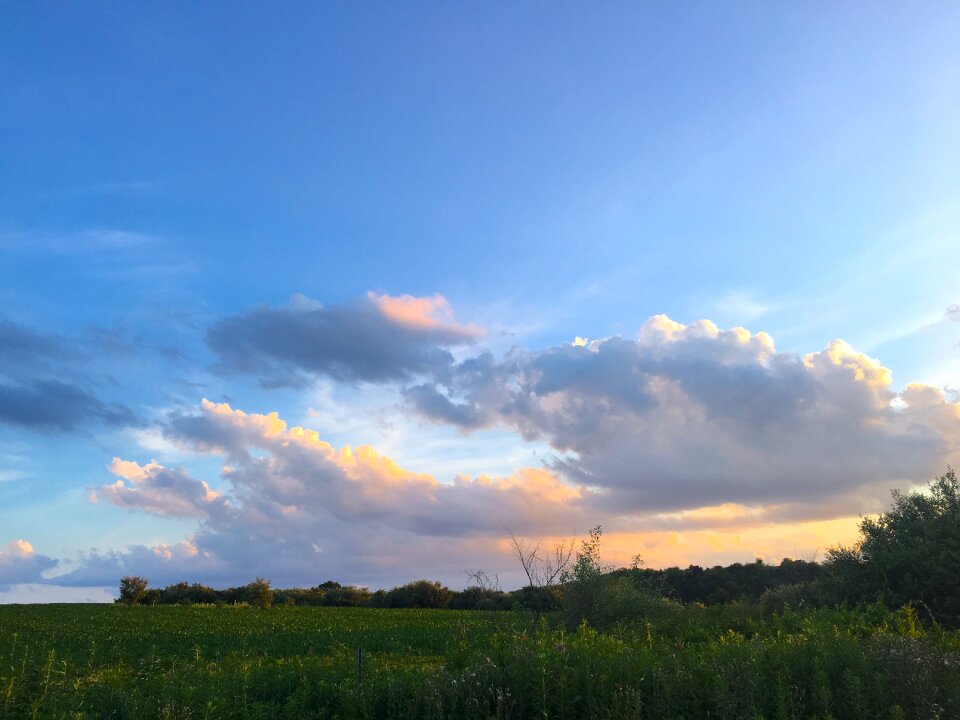 Landscape agriculture summer