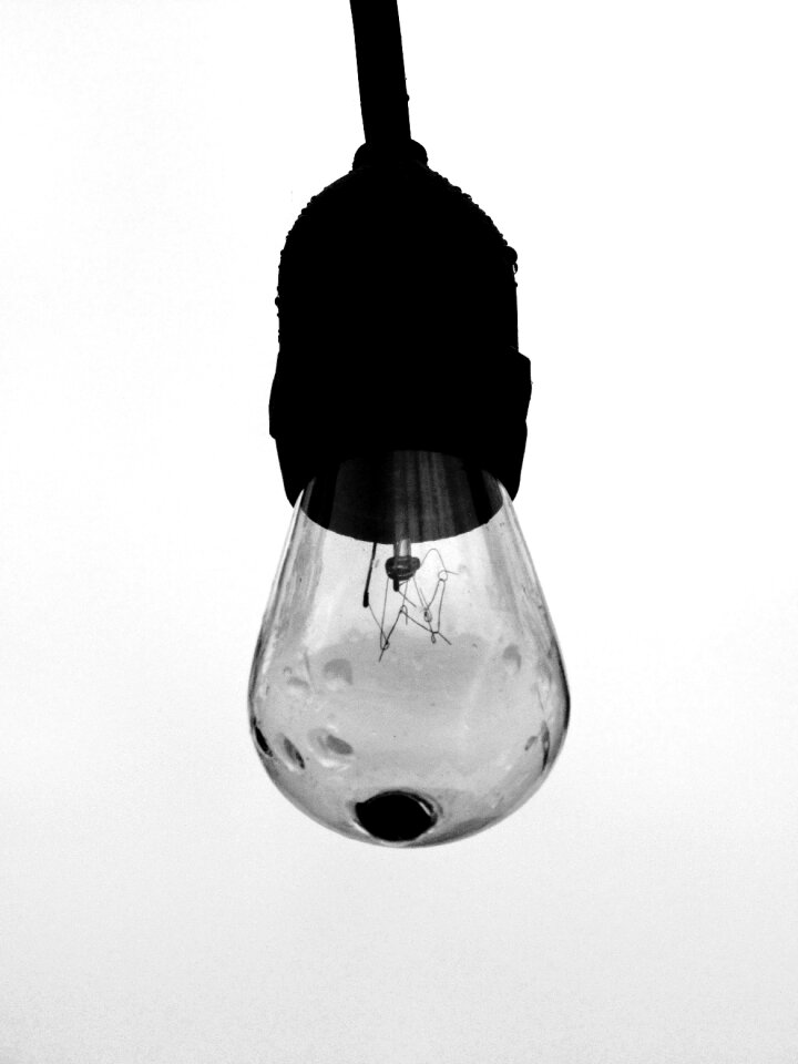 Bulbs black and white art