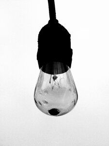 Bulbs black and white art