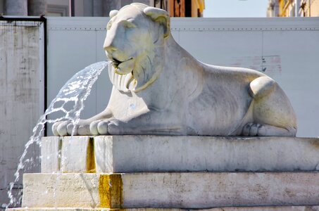 Lion marble sculpture photo