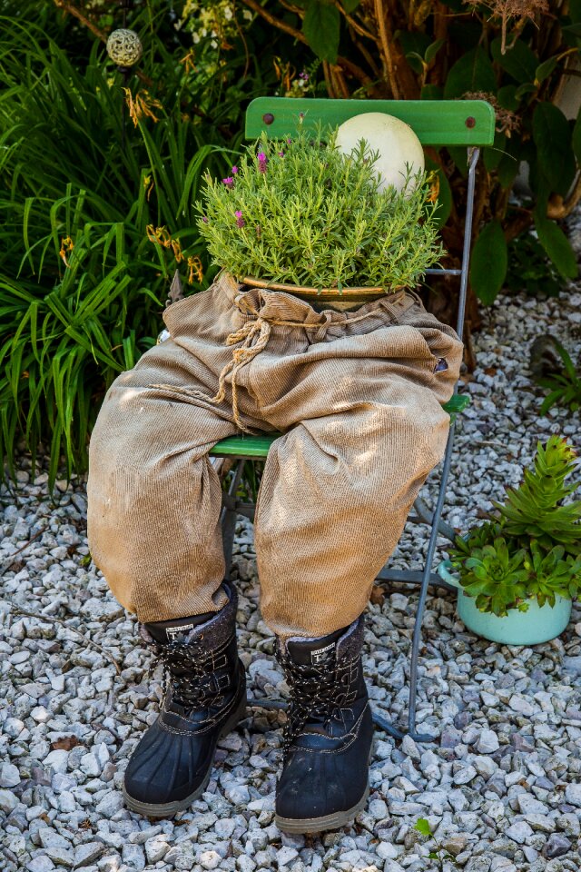 Pants herbs garden