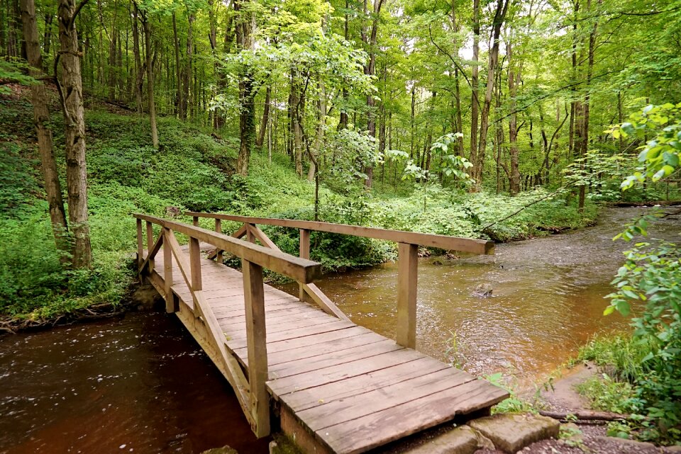 Park stream water