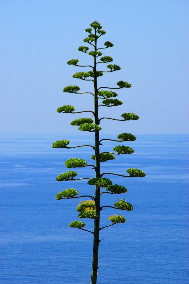 Nature landscape points
