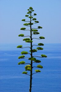 Nature landscape points