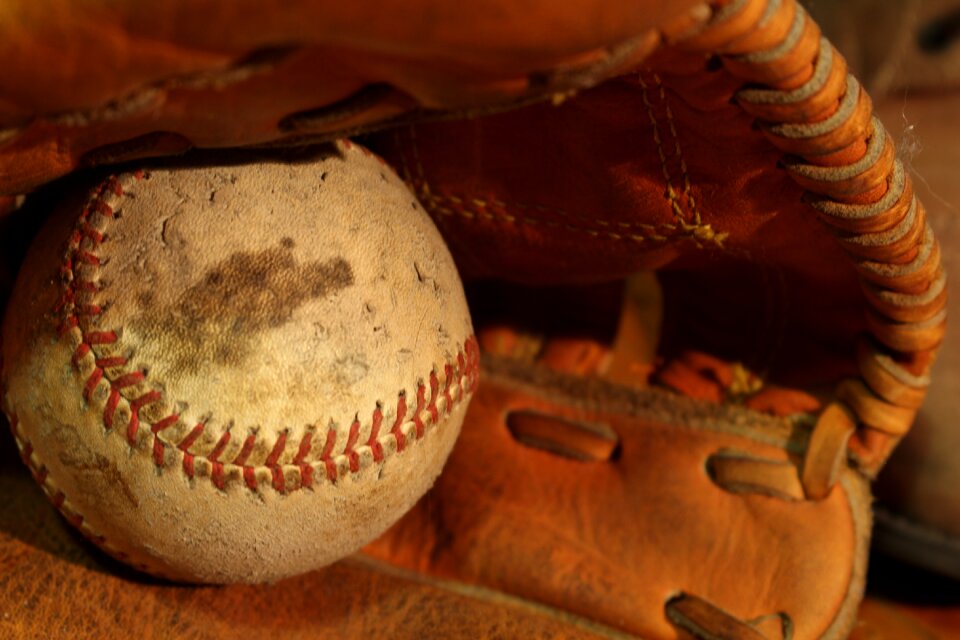 Glove yankees play