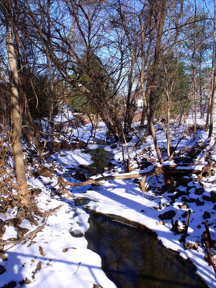 Rivulet winter water
