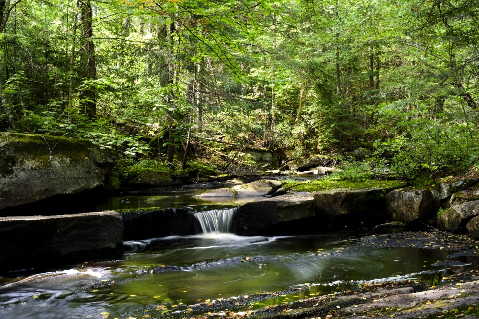 Landscape fast water creek