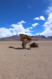 Stone tree bolivia travel