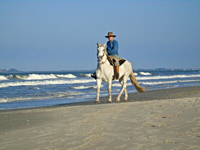 Beira mar beach knight