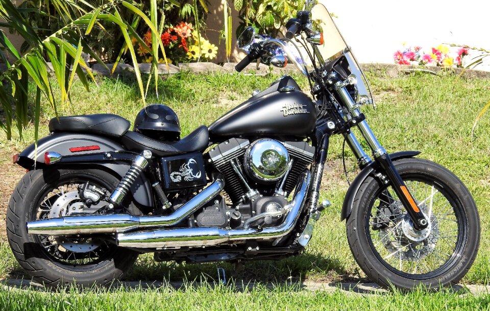 Davidson motor bike