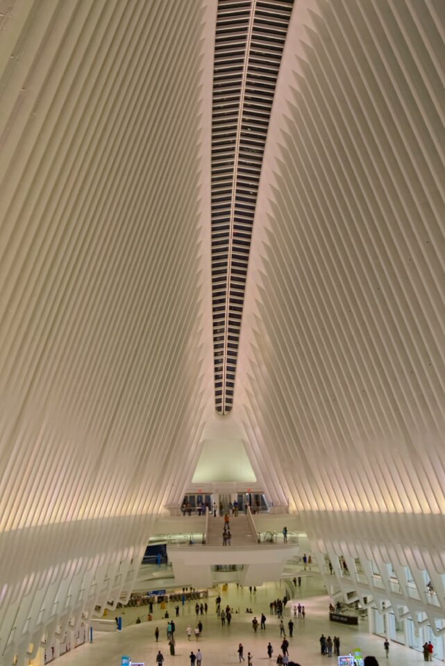 Station oculus