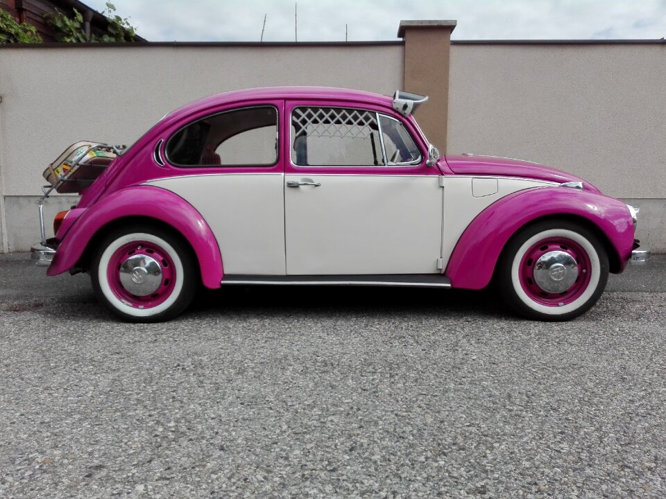 Vw summer colorful