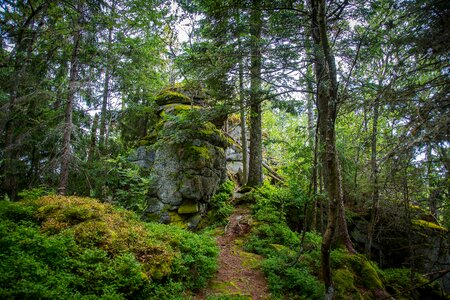 Wilderness nature landscape