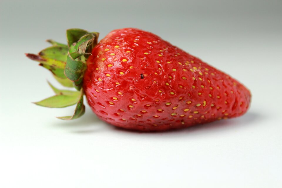 Big network strawberry