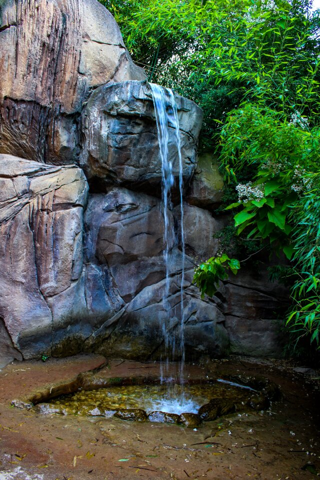 Water environment plant