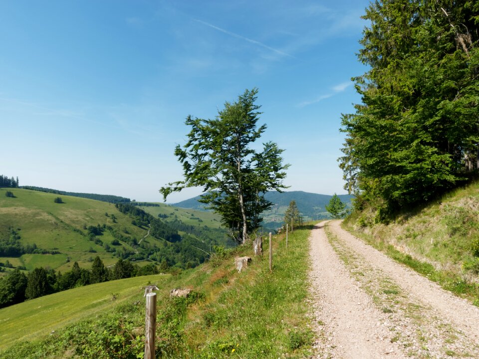 Path hiking nature