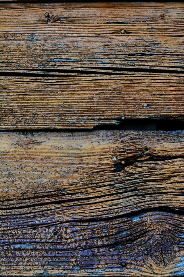 Grain texture wood grain
