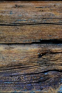 Grain texture wood grain photo