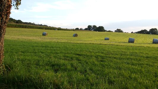 Haystacks june agriculture