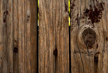 Wood knot old